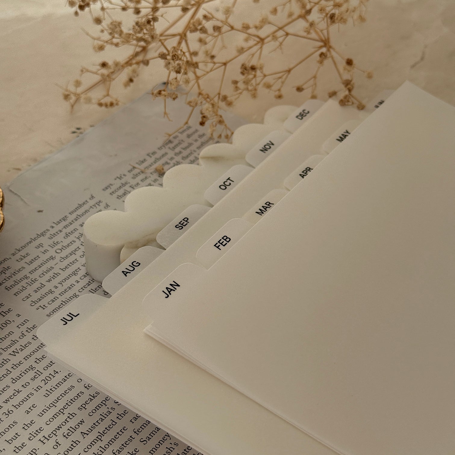 Monthly Dividers | Vellum