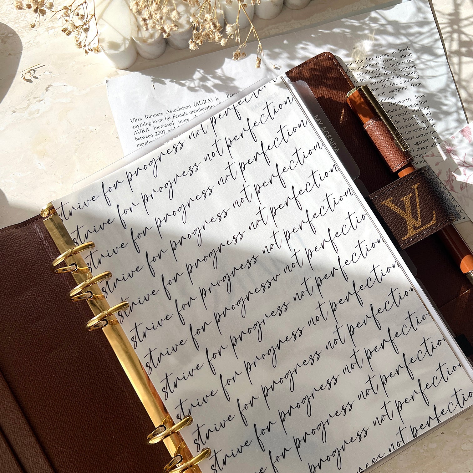 Strive for Progress DASHBOARD