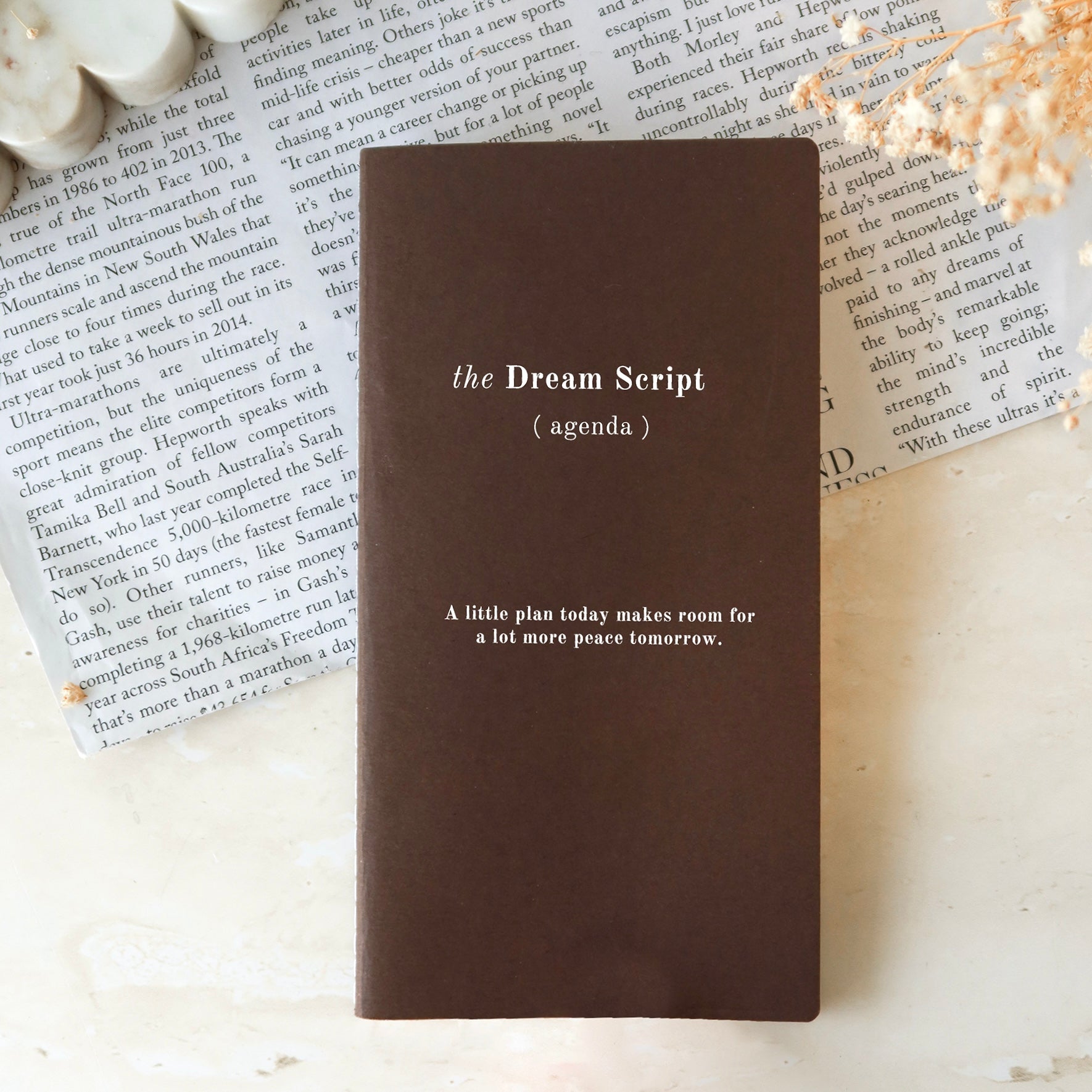 The Dream Script Agenda Undated