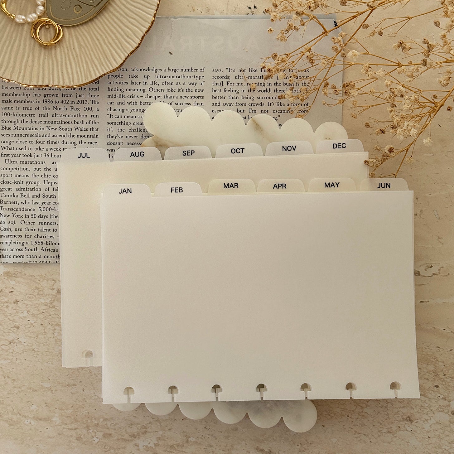 Monthly Dividers | Vellum