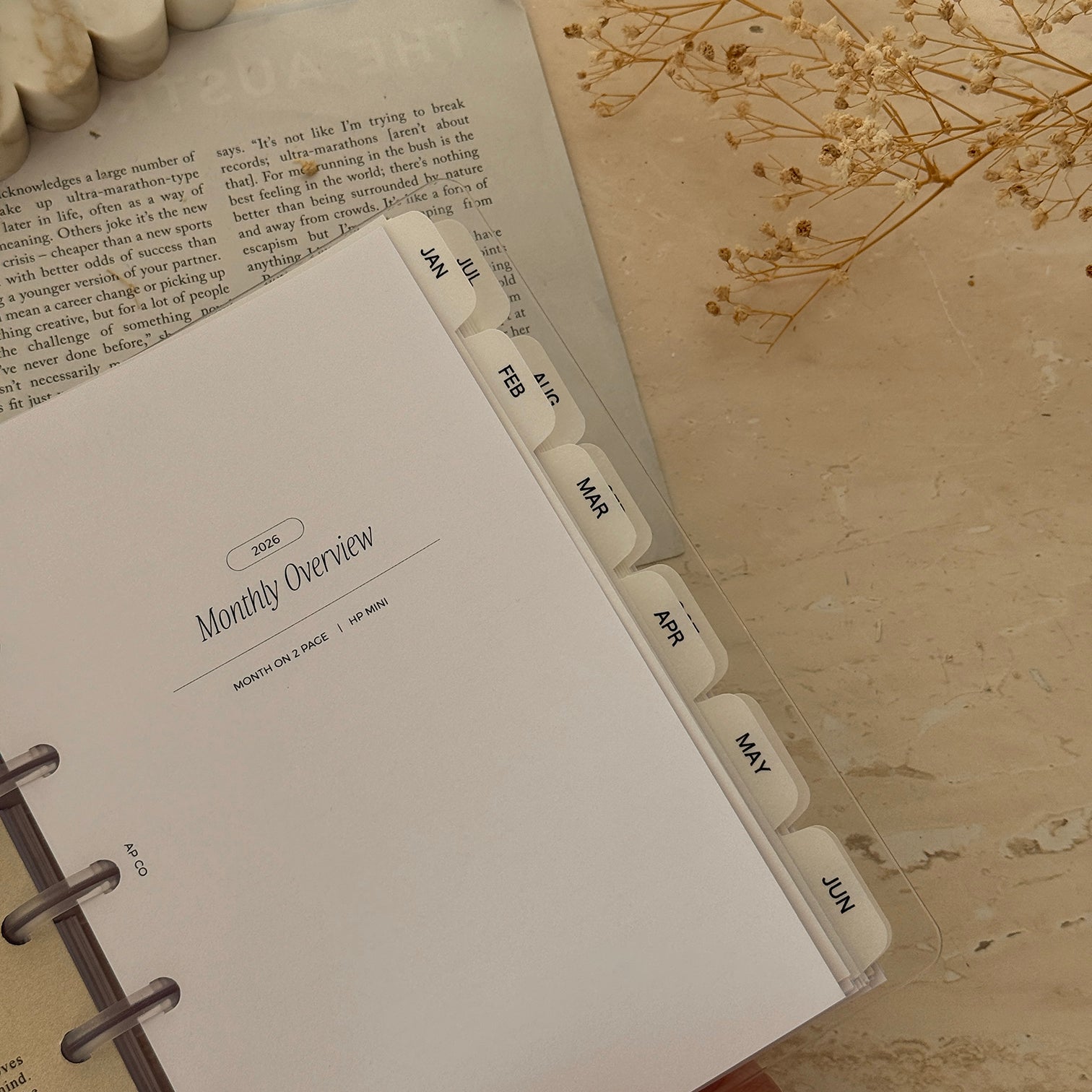 Monthly Dividers | Vellum