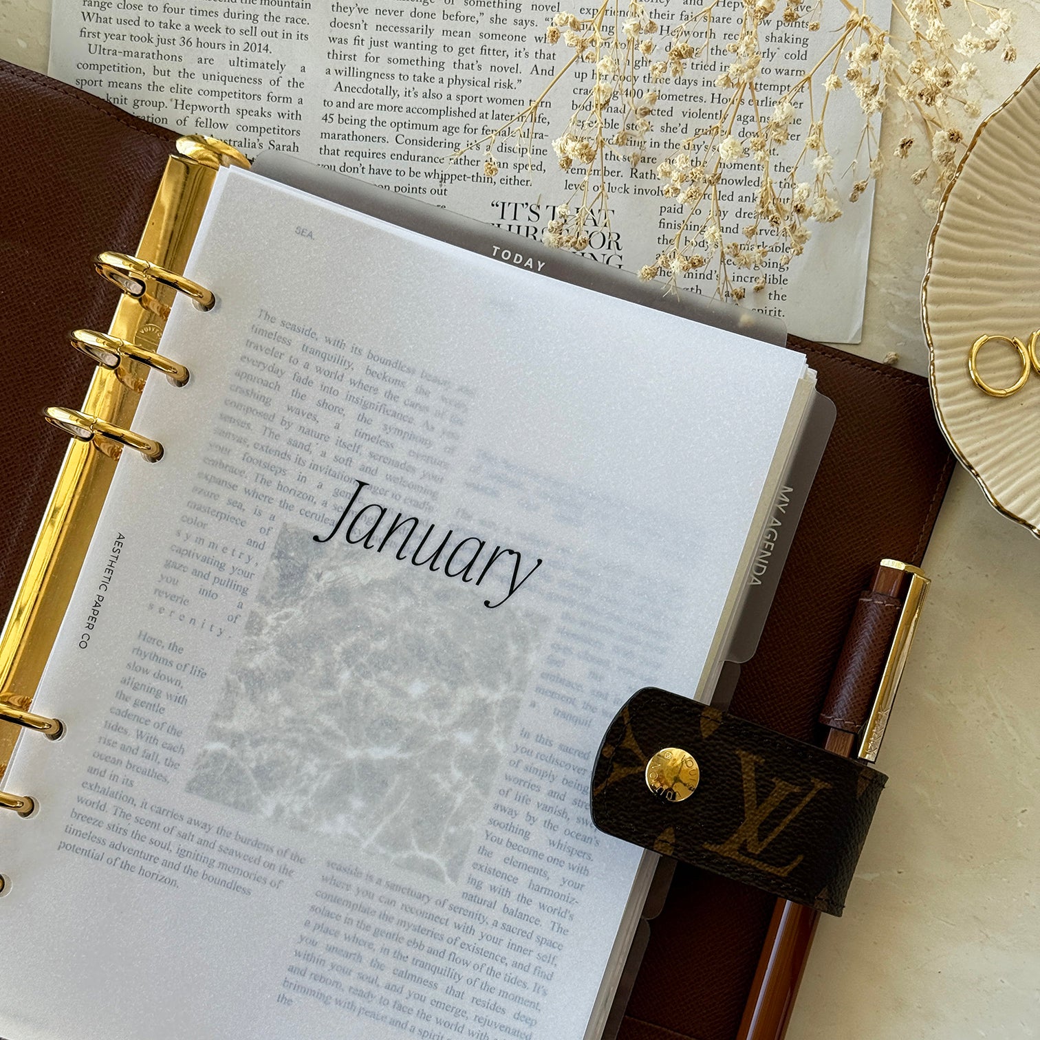 MONTHLY VELLUM DASHBOARDS