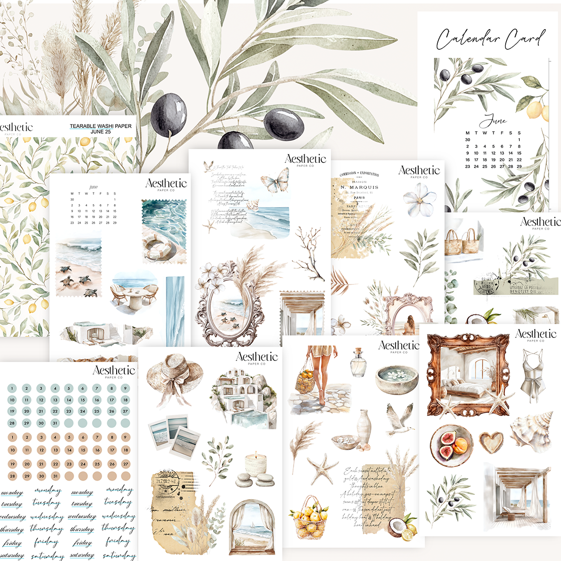 Monthly Planner Kit | June 2025 Sticker Kit