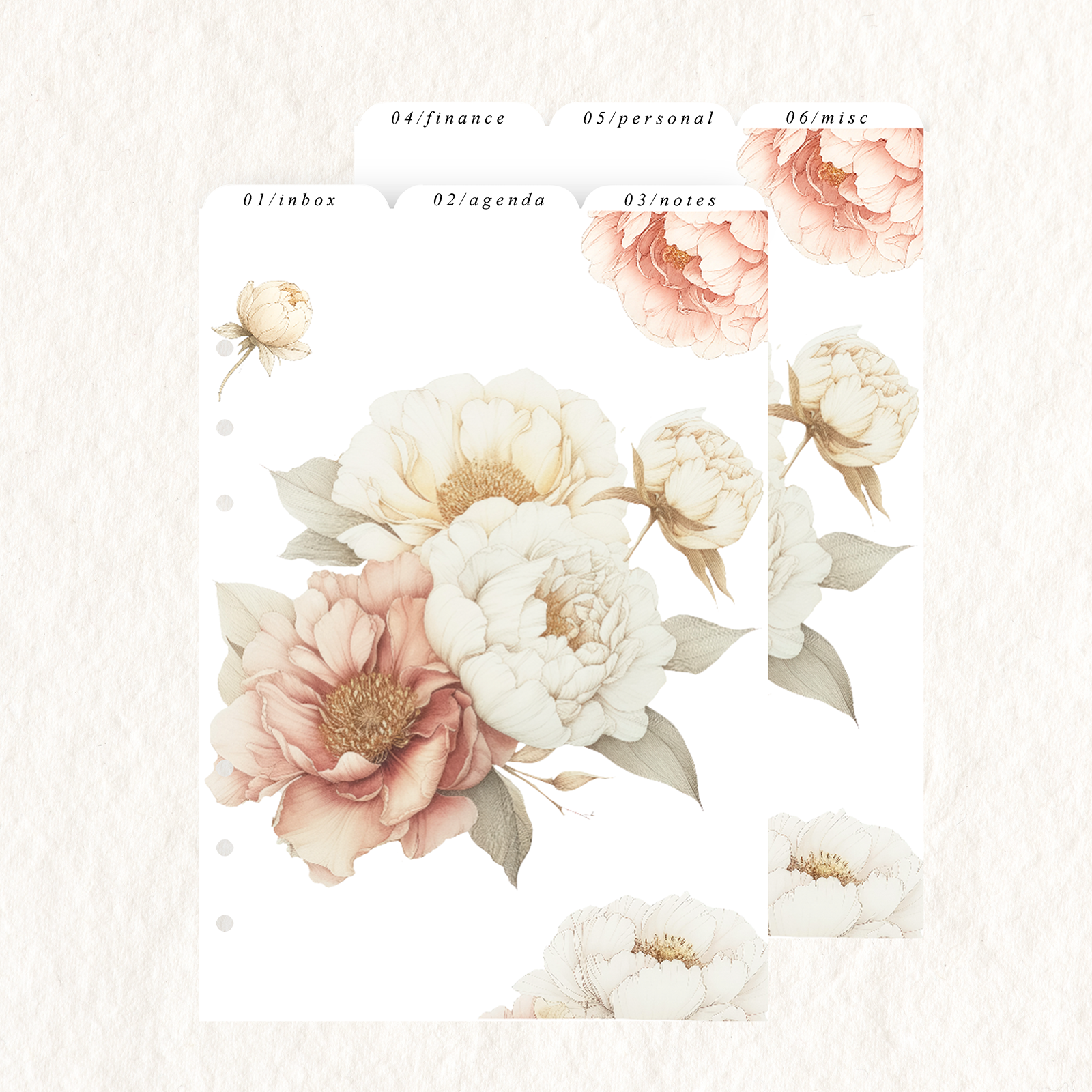 Peonie Dividers | Vellum