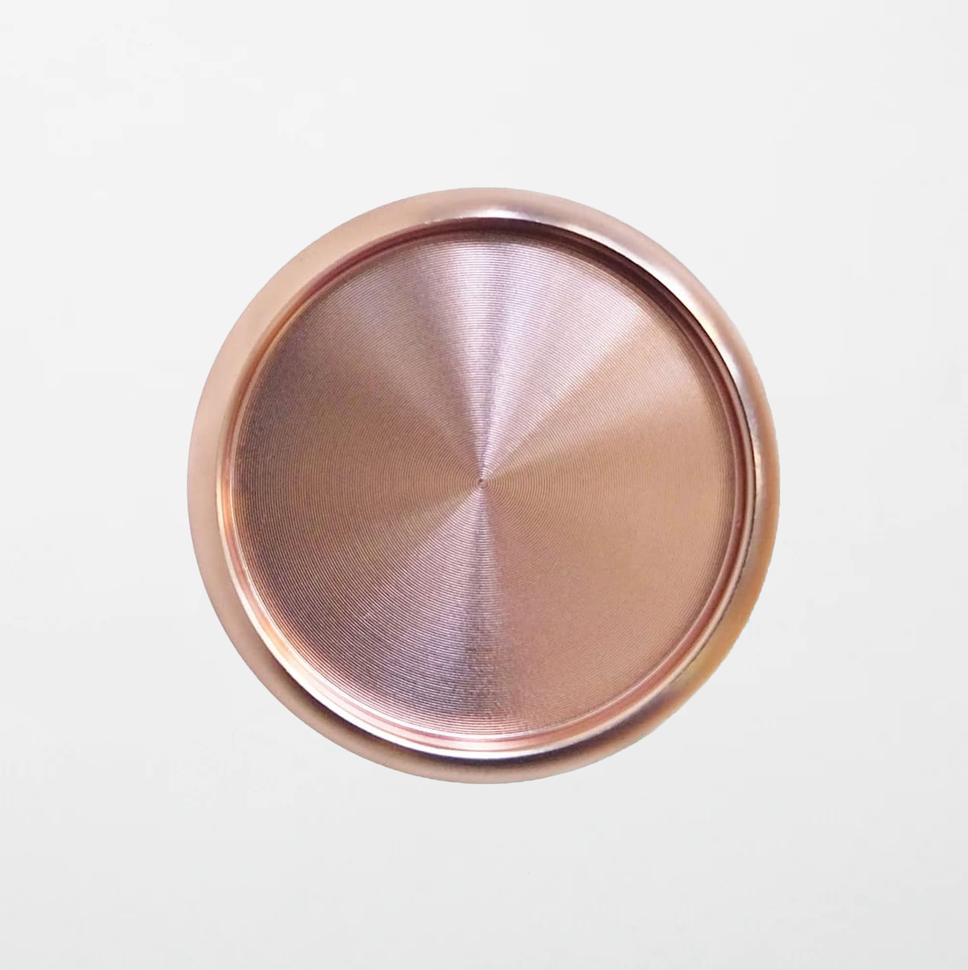 Aluminum Planner Discs | Rose Gold